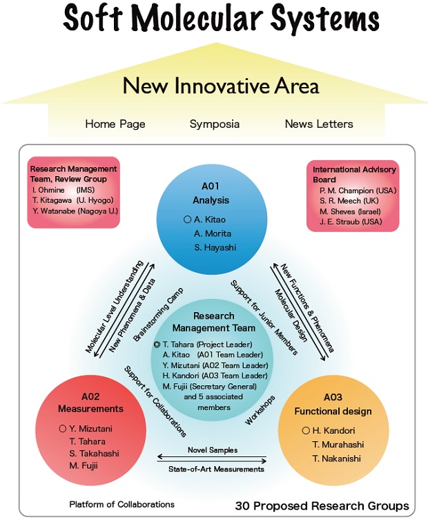 理論と実験の協奏による柔らかな分子系の機能の科学